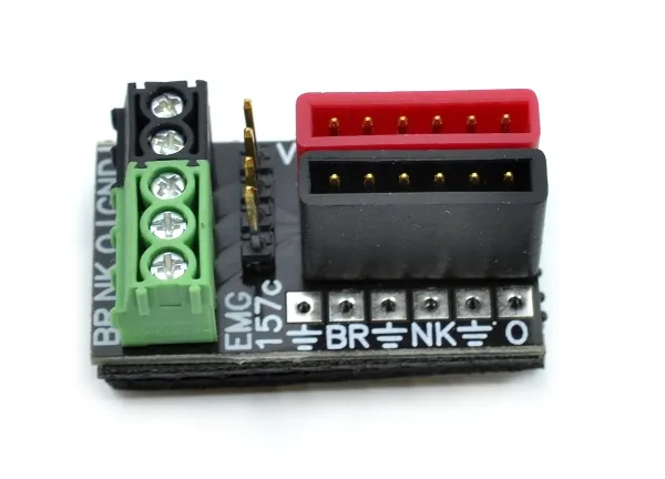 EMG 04
