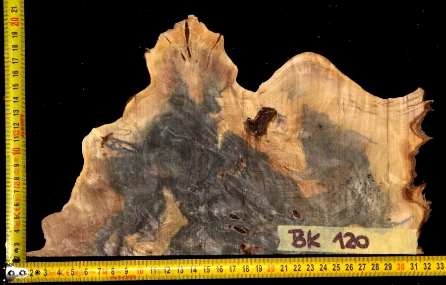 BK 120