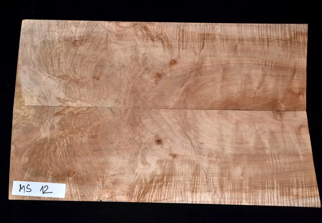 Javor Spalt USA Vrchná doska MS-12