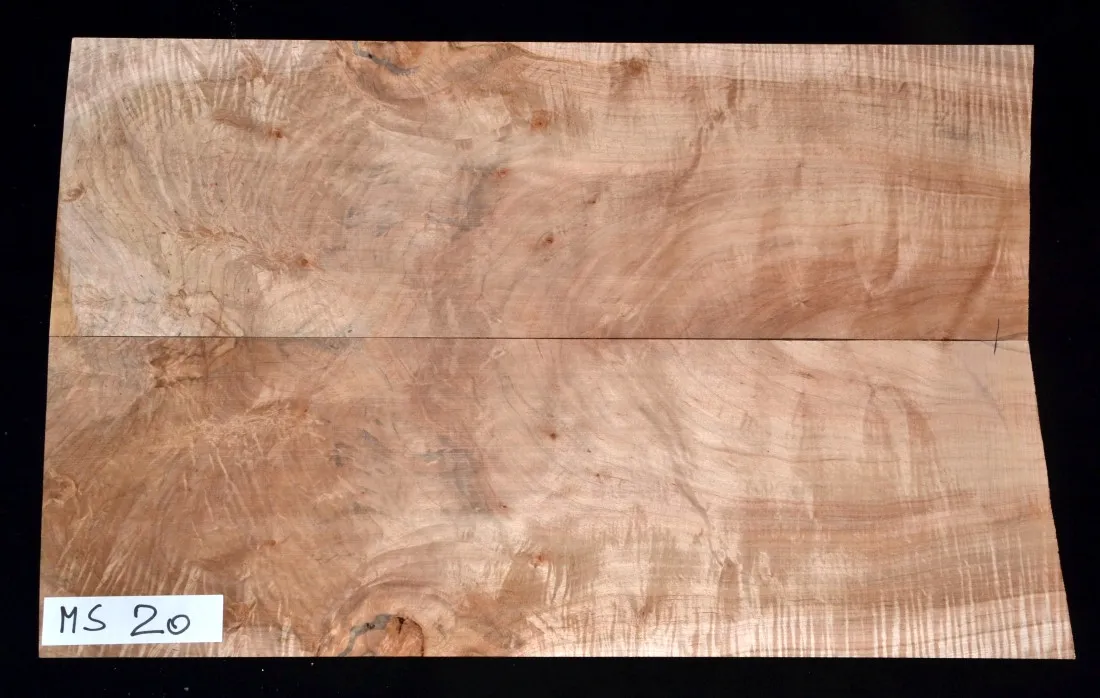 Javor Spalt USA Vrchná doska MS-20