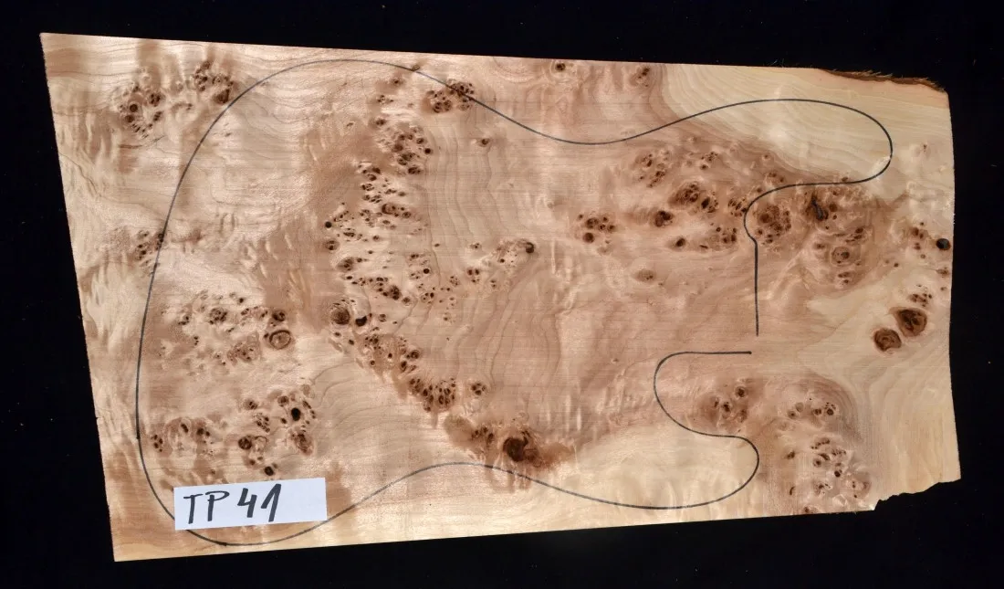 Topoľ koreňový Top TP 41