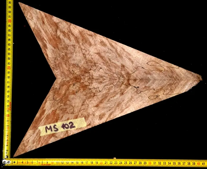 MS 102
