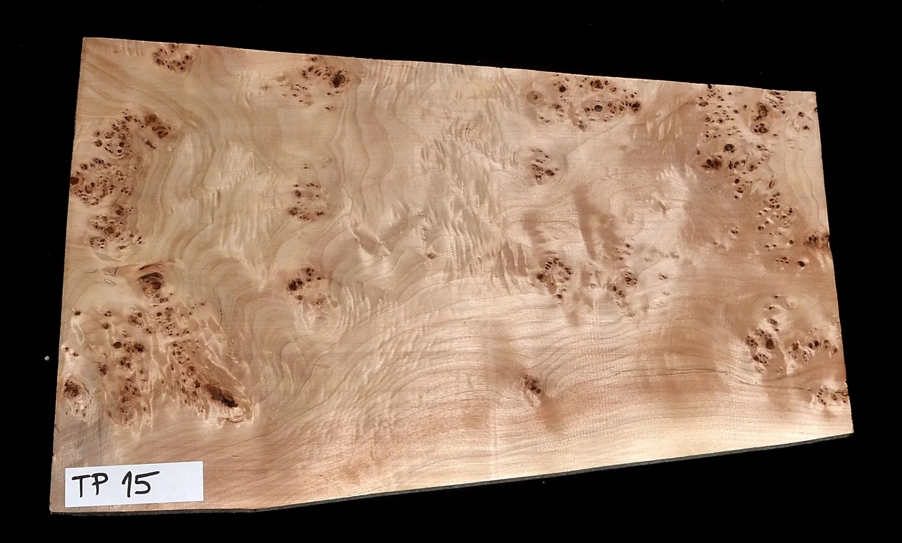 Topoľ Koreňový TP15 Top Vrchná Doska