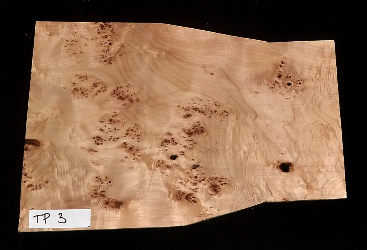 Topoľ Koreňový TP3 Top Vrchná Doska