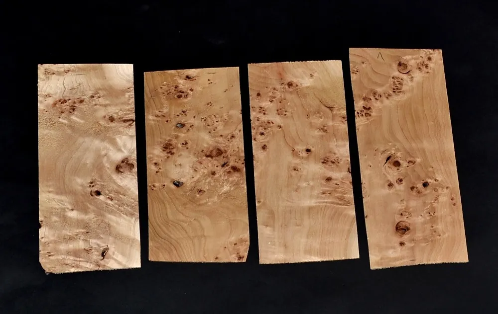 Topoľ koreňový – doska na prednú časť hlavy gitary / TPP-01