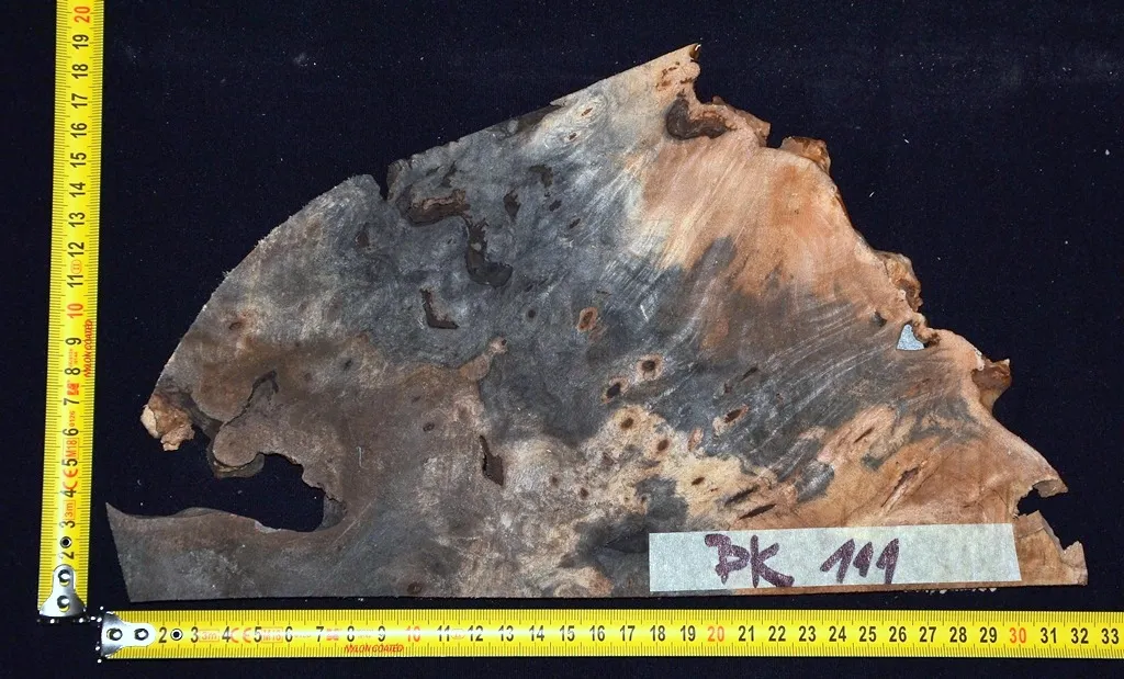 BK 111