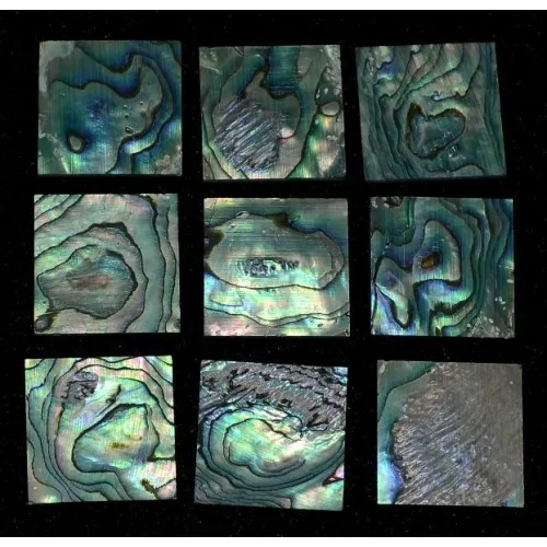 Inlay Paua Pearl Blank – Perleťový blok 25 x 25 x 1,5 mm, II. trieda