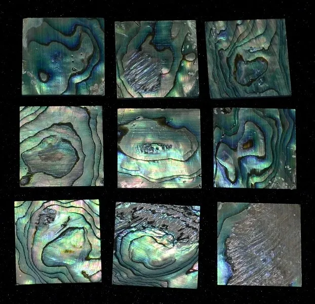 Inlay Paua Pearl Blank – Perleťový blok 25 x 25 x 1,5 mm, II. trieda