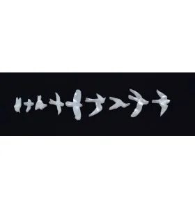 Biela umelá perleť Inlay polohové značky – Sada (Vtáky)