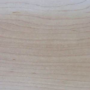 Javor kanadský QUARTER 