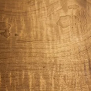 Pečený javor kanada