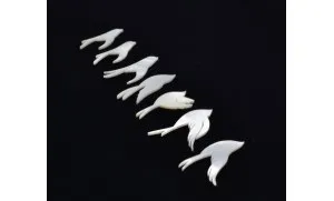 Inlay