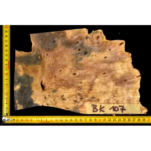 BK 107