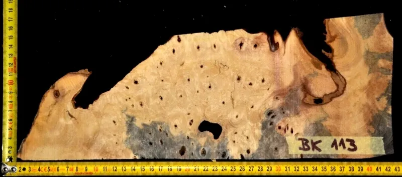 BK 113
