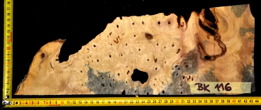 BK 116