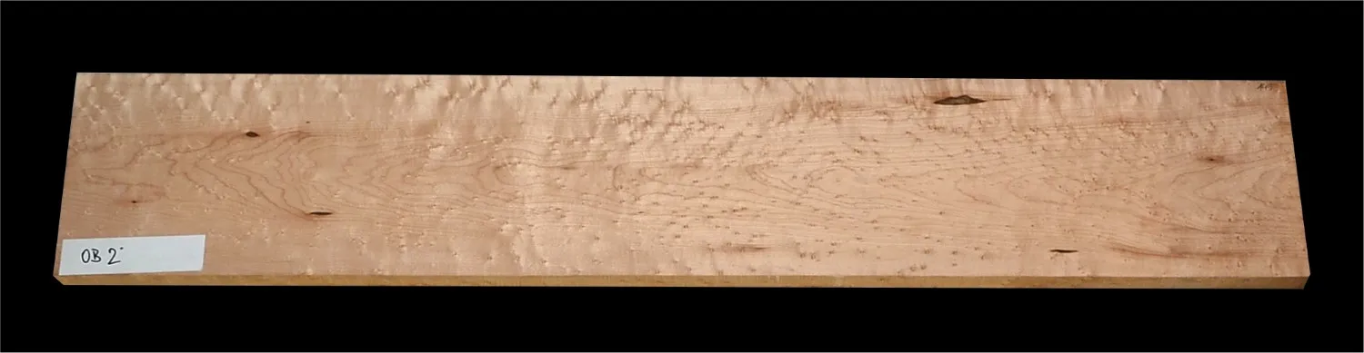 Javor Očkový Kanada OB 02