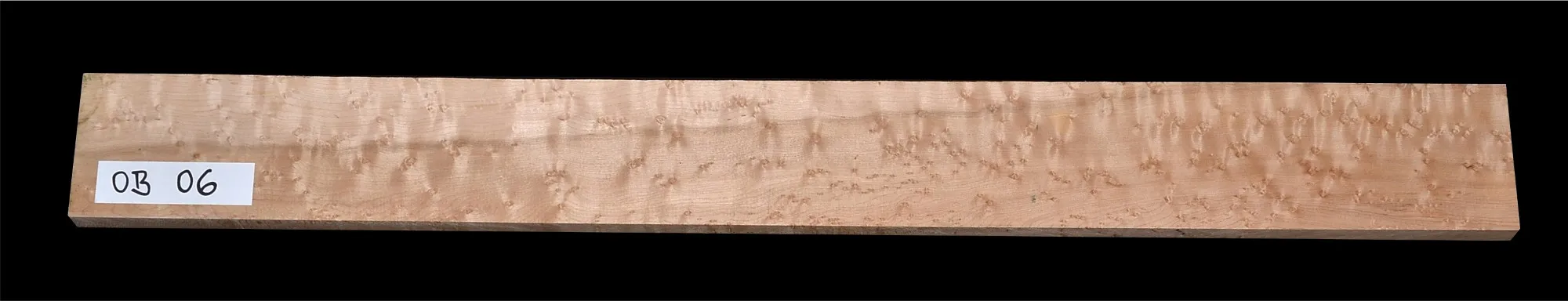 Javor Očkový Kanada OB 06