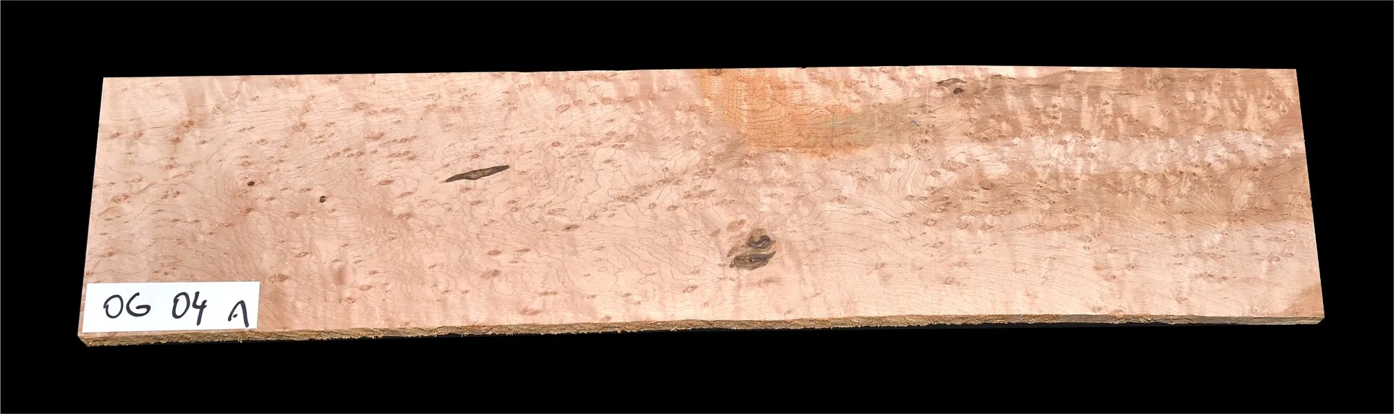 Javor Očkový Kanada OG 04