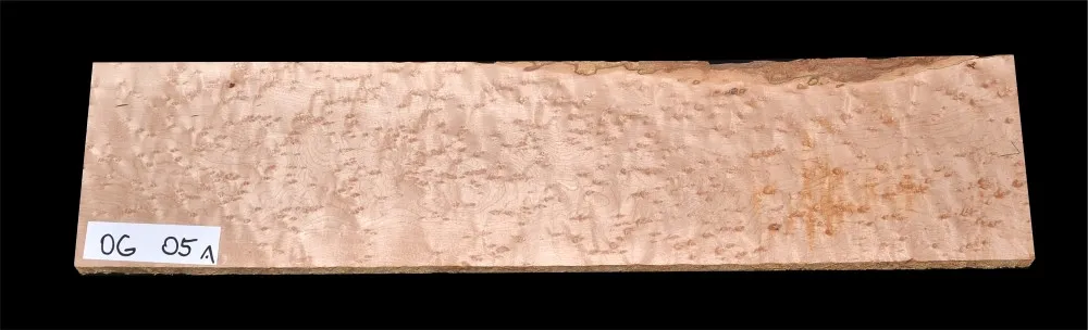 Javor Očkový Kanada OG 05