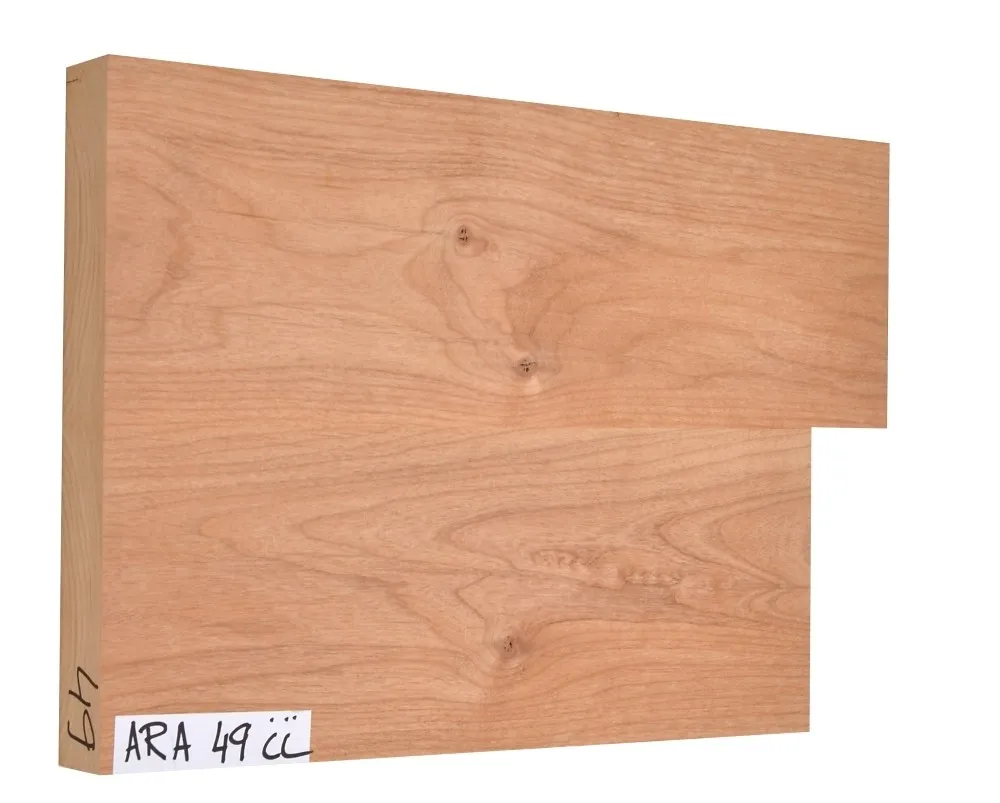 Americká Jelša ARA 49 CL