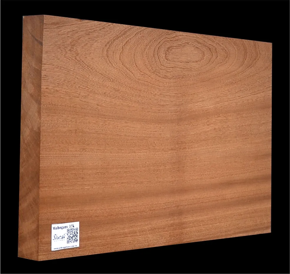 Mahagón Drevo na Gitaru- Basgitaru 500 X 325 x 46 mm