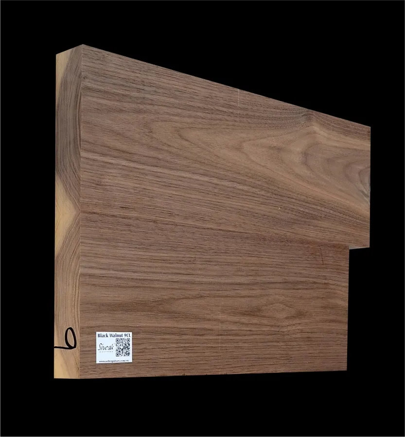 Orech Čierny USA Drevo na Gitaru- Basgitaru BWT 9CL - 500/450 x 340 x 46 mm