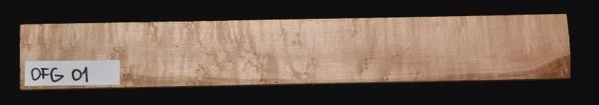 OFG 01