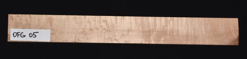 OFG 05