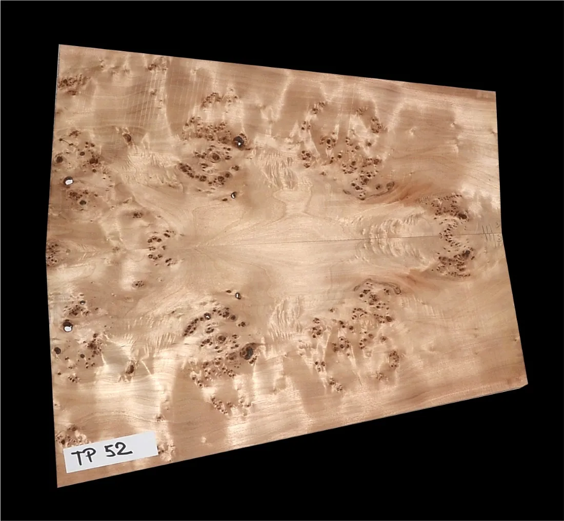 Topoľ Koreňový TP52 Top Vrchná Doska 550 × 555/395 × 5,8 mm