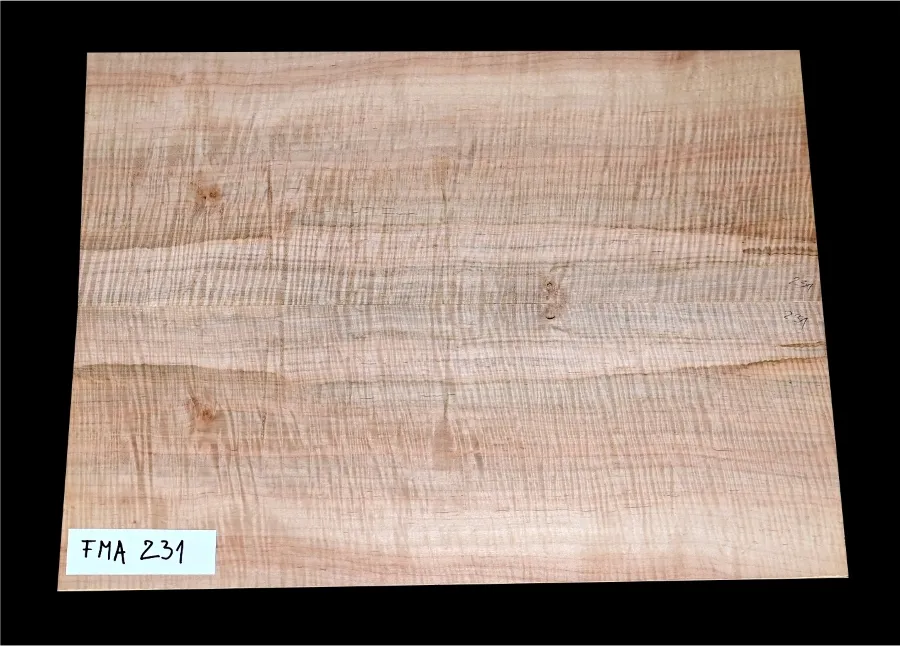 Javor Vlnitý Vrchná doska na Gitaru - Basgitaru FMA 231 - 550 x 420/410 x 5,4 mm