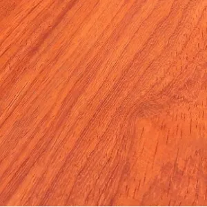 Padauk