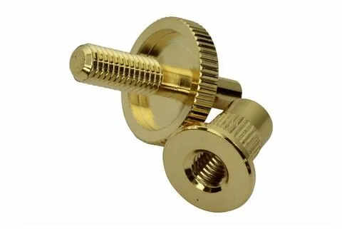 Gibson Nashville - Tŕň S Puzdrom Pre Kobylku Les Paul, Zlatá