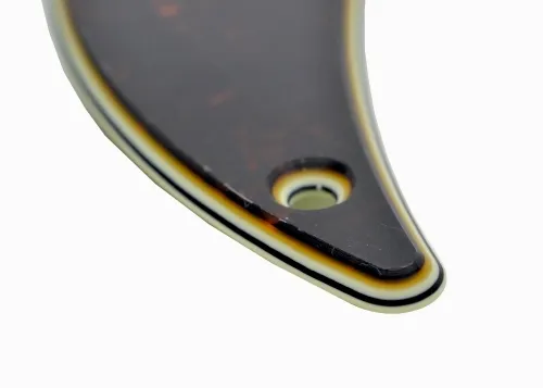 STP1 TRB