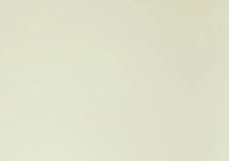 Hosco plastová doska na pickguard, parchment, 3-vrstvy 300 x 220 x 2,7 mm