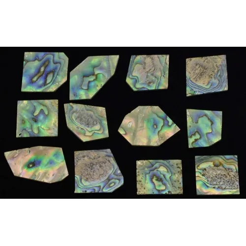 Inlay Paua Abalone Pearl Blank – Perleťová sada (27g)