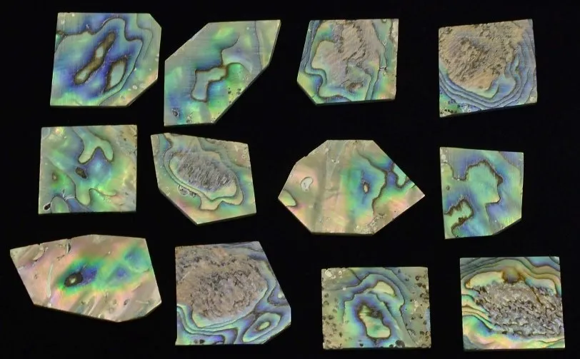 Inlay Paua Abalone Pearl Blank – Perleťová sada (27g)