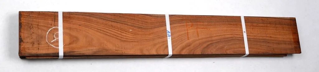 SAN 1