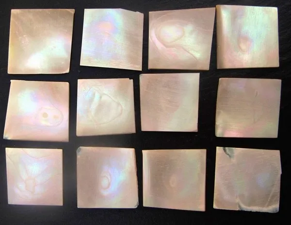 Inlay Gold-Green Turban Pearl Blank – Perleťový blok 25 x 25 x 1,5 mm