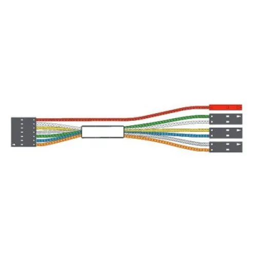 EMG 7