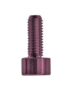 Floyd Rose FROSMSPKP – Skrutka na montáž sedla tremola, Ružová