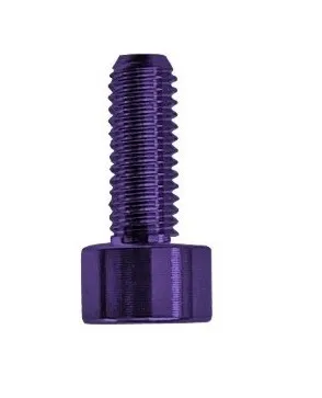 Floyd Rose FROSMSPLP – Skrutka na montáž sedla tremola, Fialová