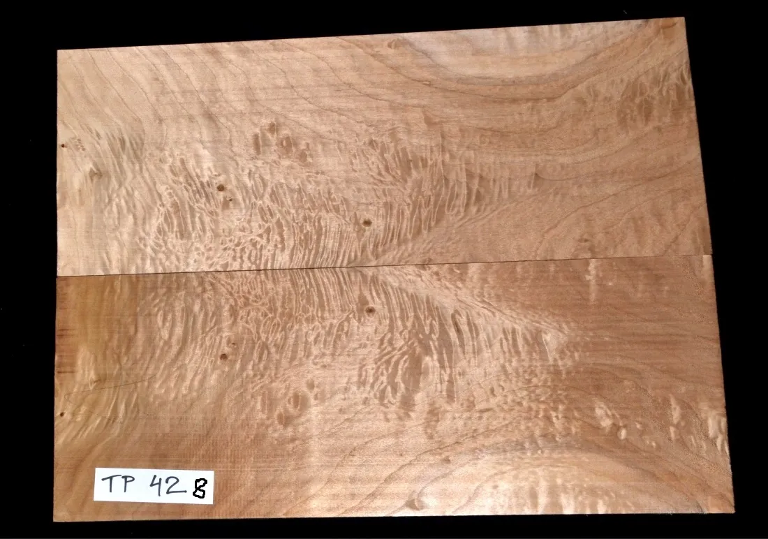 Topoľ koreňový Top TP 428