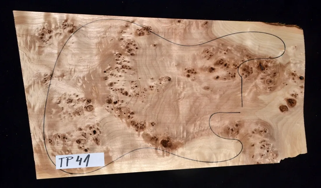 Topoľ koreňový Top TP 41