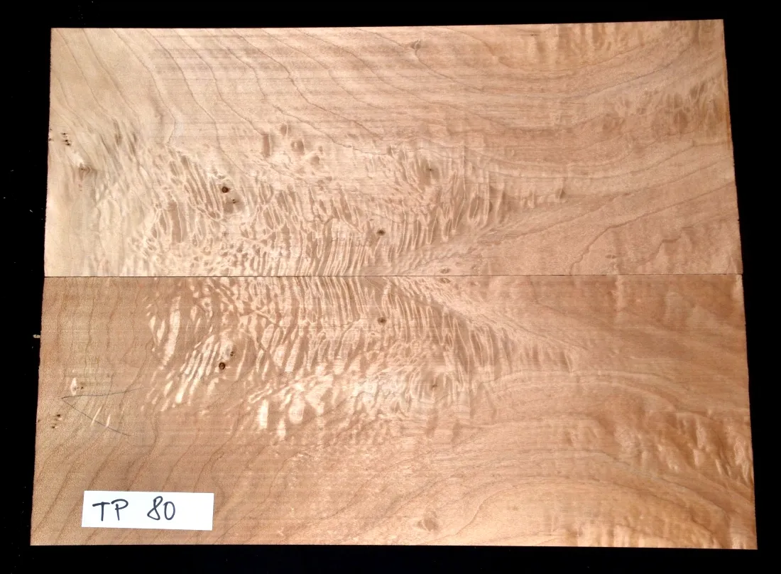 Topoľ koreňový Top TP 80