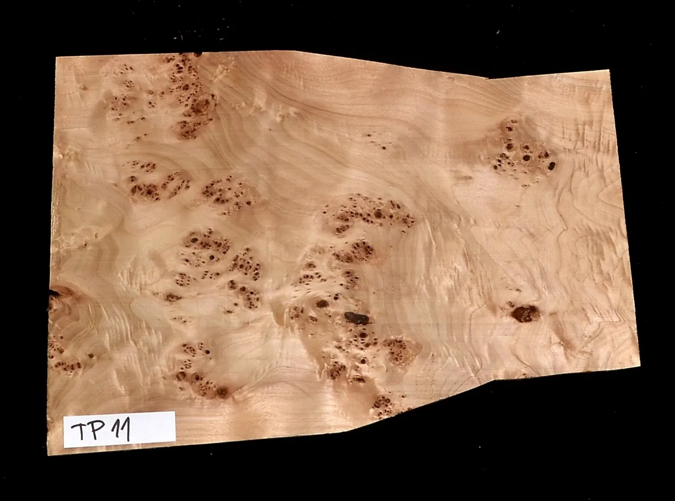 Topoľ Koreňový TP 11 Top Vrchná Doska