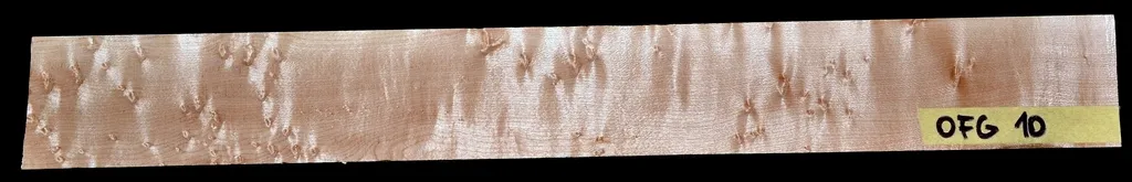 OFG 10