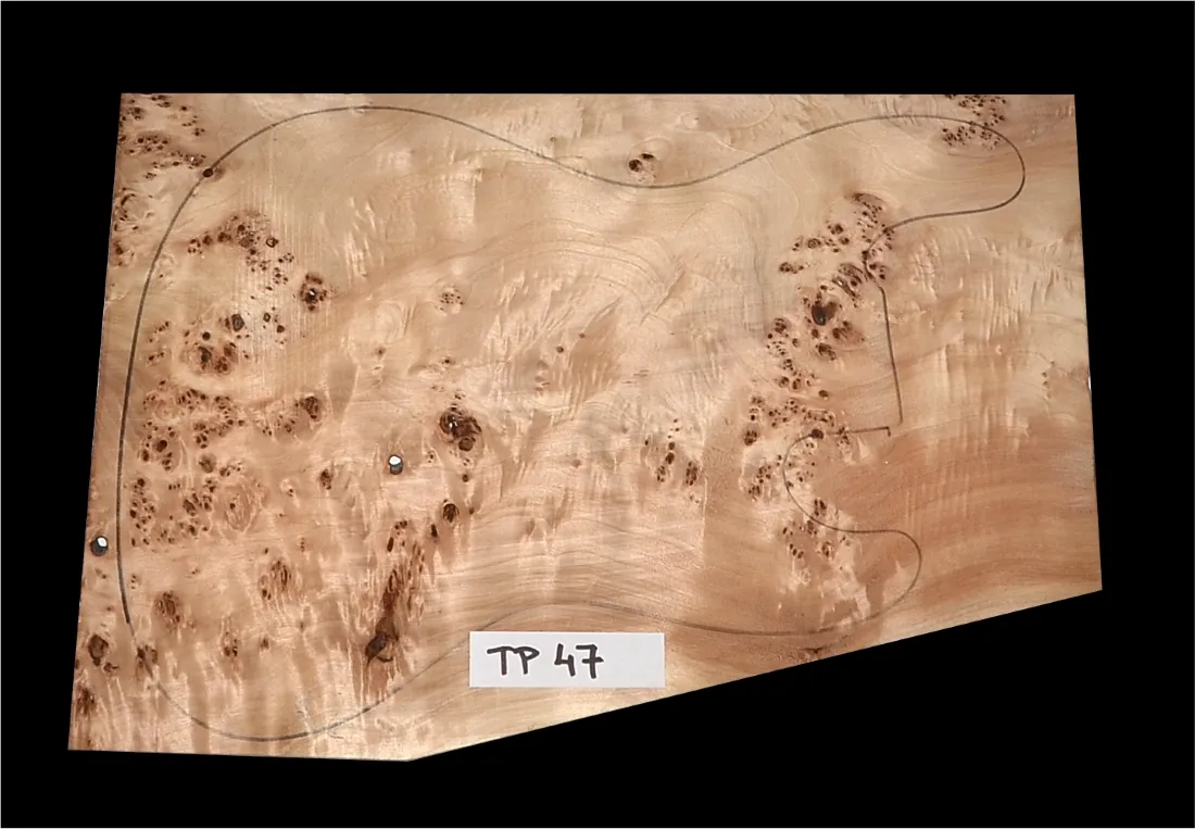 Topoľ Koreňový TP 47 Top Vrchná Doska 550 x 365/300 x 7 mm