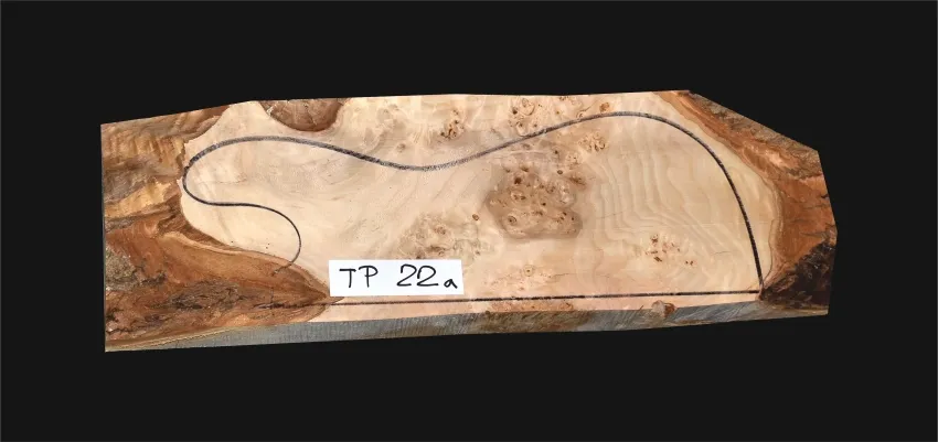 TP 22