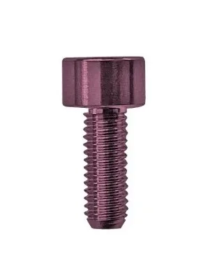 Floyd Rose FROSMSPKP – Skrutka na montáž sedla tremola, Ružová