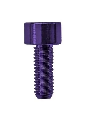 Floyd Rose FROSMSPLP – Skrutka na montáž sedla tremola, Fialová